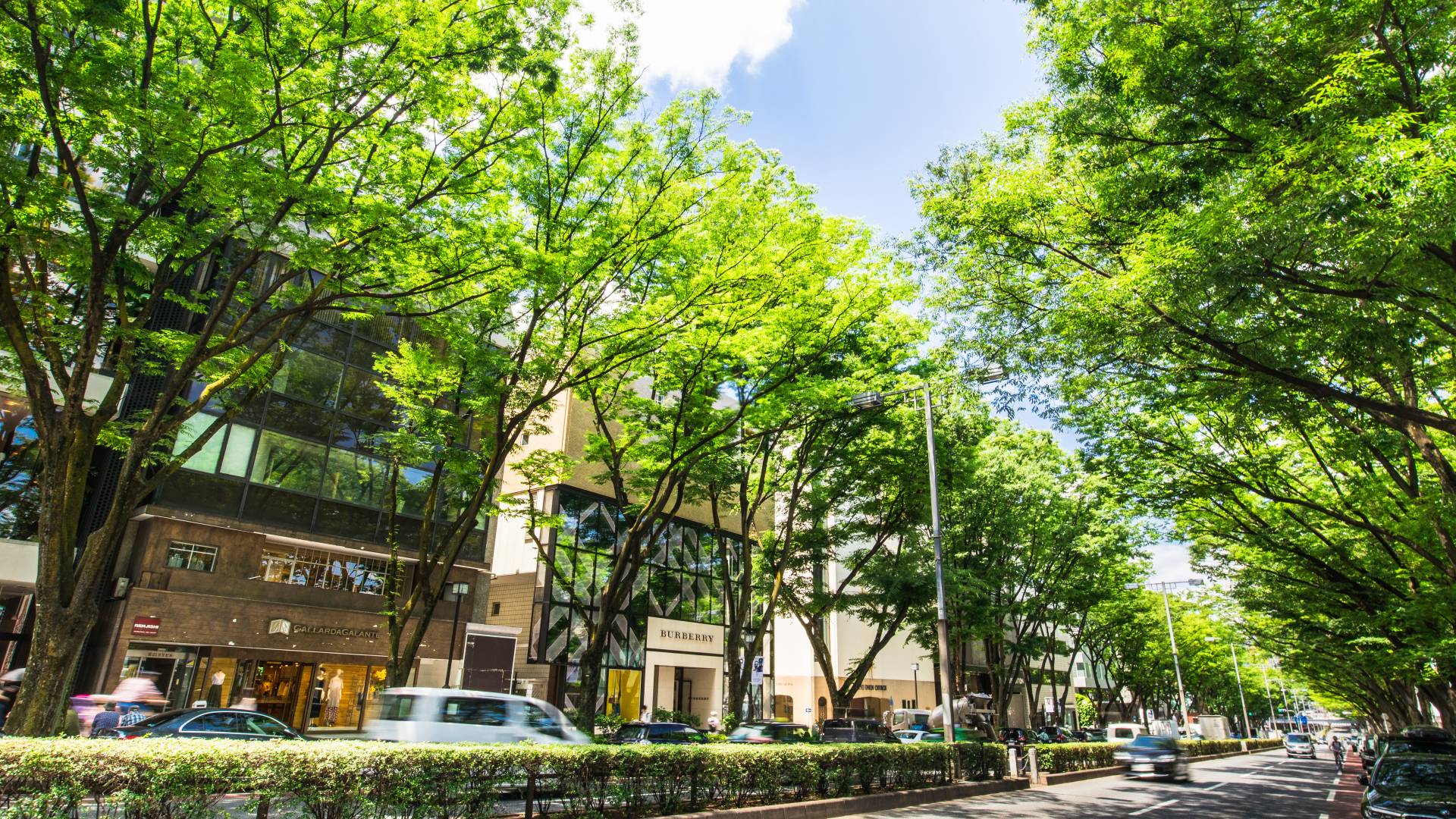nexanaオフィス(南青山)